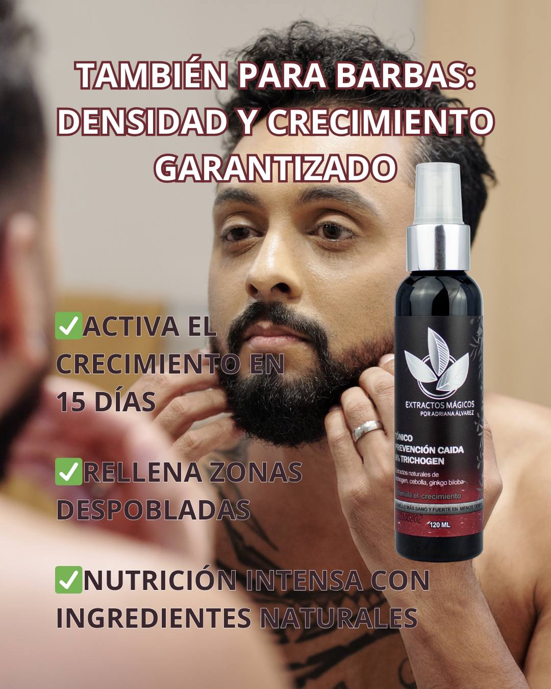 Encabezado