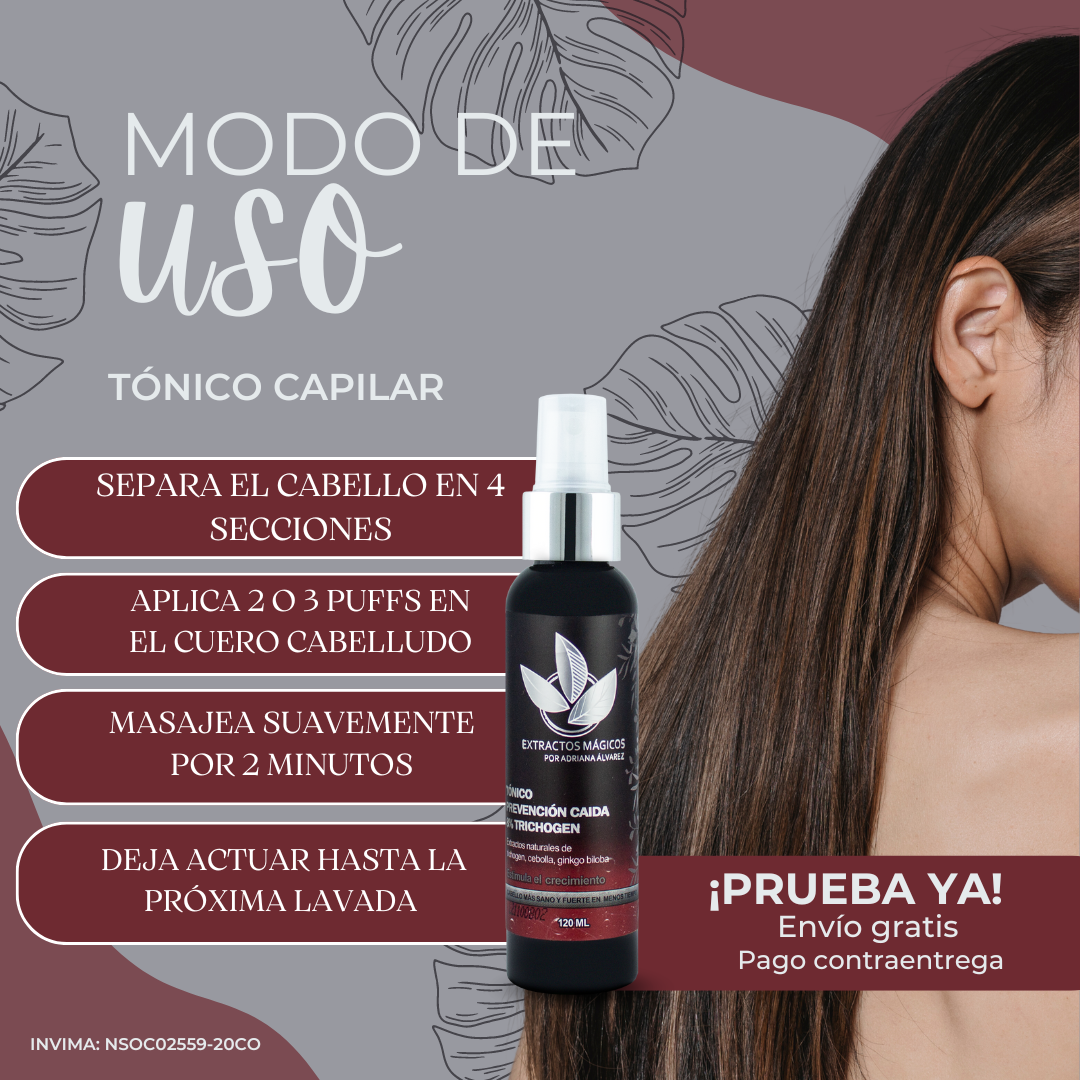 Encabezado