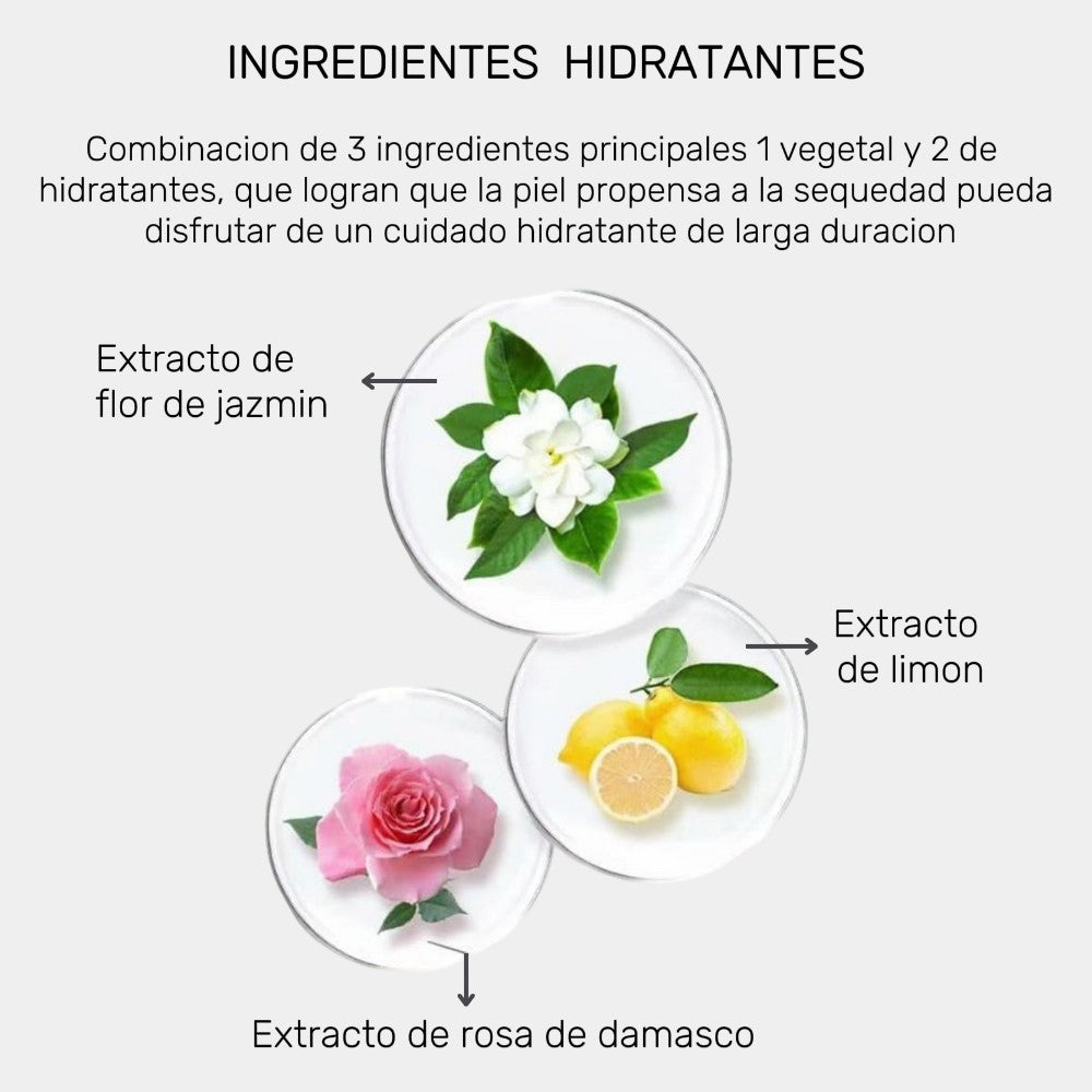 Encabezado