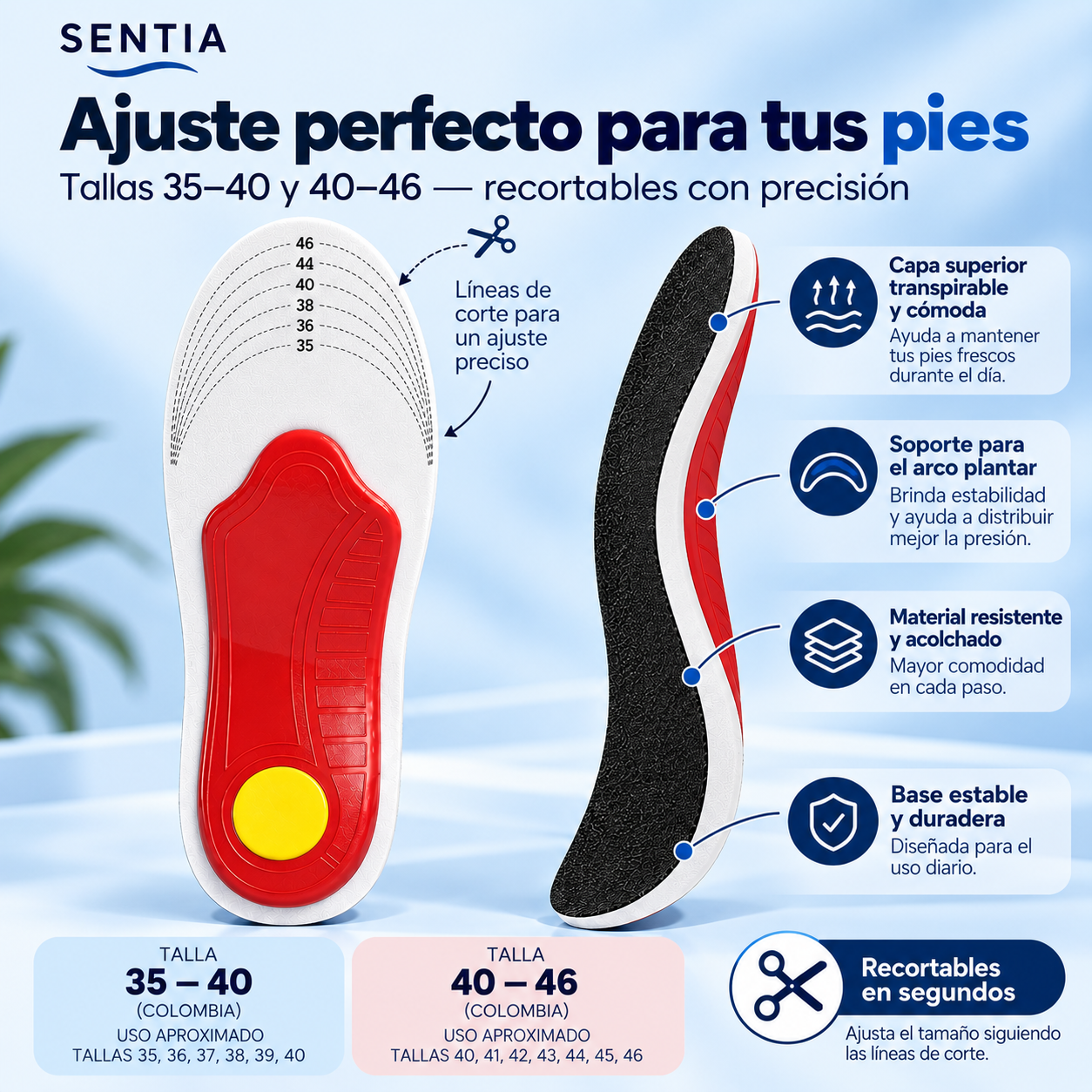 Encabezado