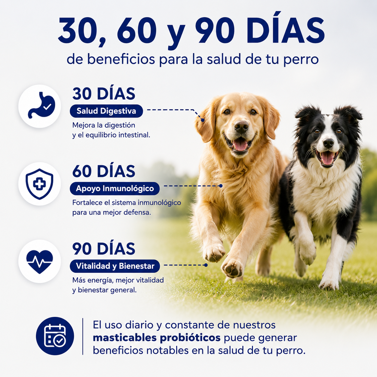PROBIOPET™ El snack diario que ayuda a fortalecer la digestión, defensas y bienestar de tu perro