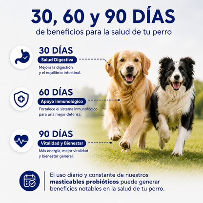 PROBIOPET™ El snack diario que ayuda a fortalecer la digestión, defensas y bienestar de tu perro