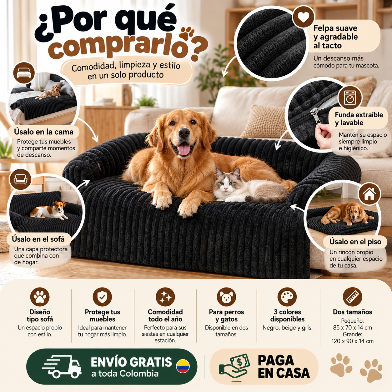 Encabezado